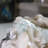 Anto Landscape & Nature Figurines & Sculptures