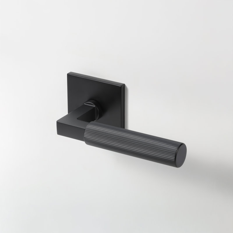 Fausse poignée de porte intérieure Mila, Square, Noir mat, Inactif double