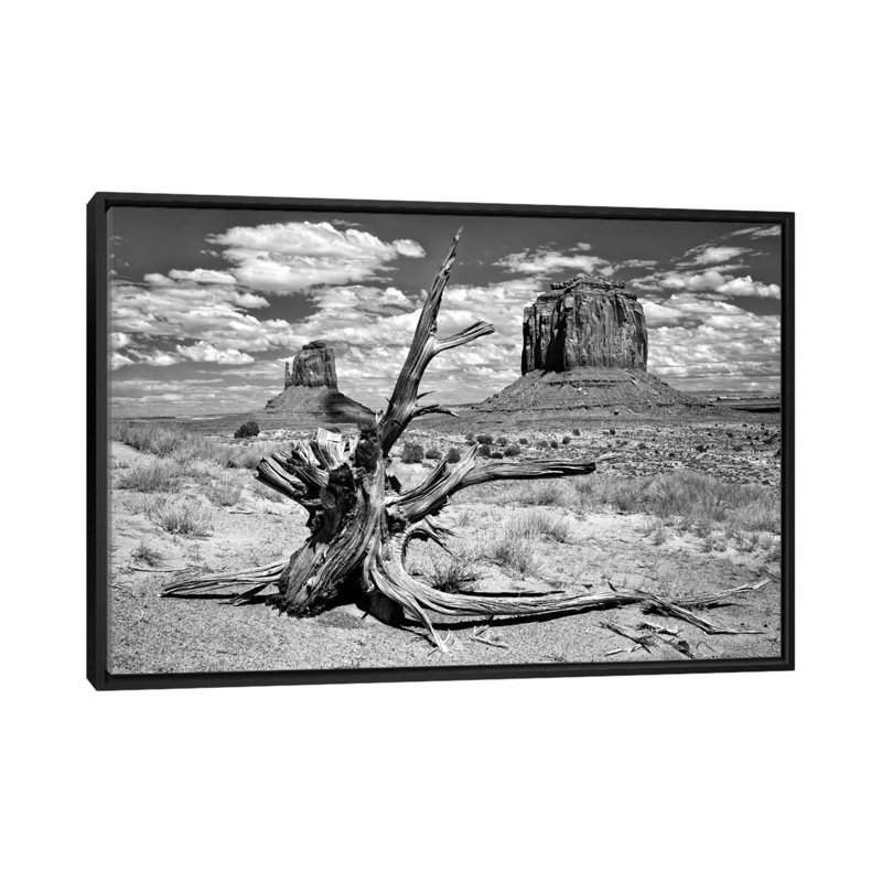 B&W Desert View V par David Drost - Giclée sur toile tendue avec châssis, H 18 po x l 26 po x P 1,5 po, Toile avec cadre noir