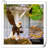 Keela Metal Garden Statue