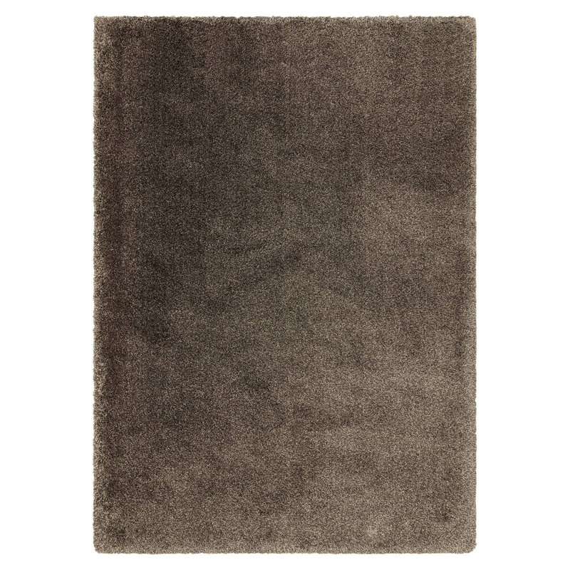 Taiwo Shaggy Taupe Area Rug, Rectangle 80 x 150 cm