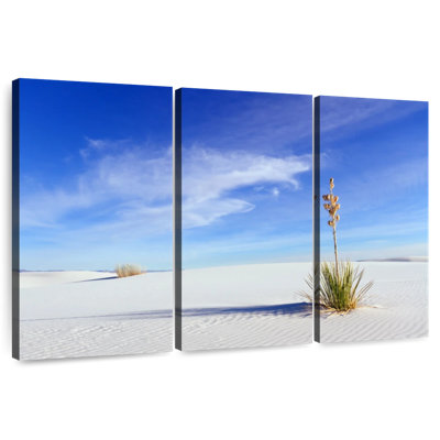 Alvord Lone Yucca