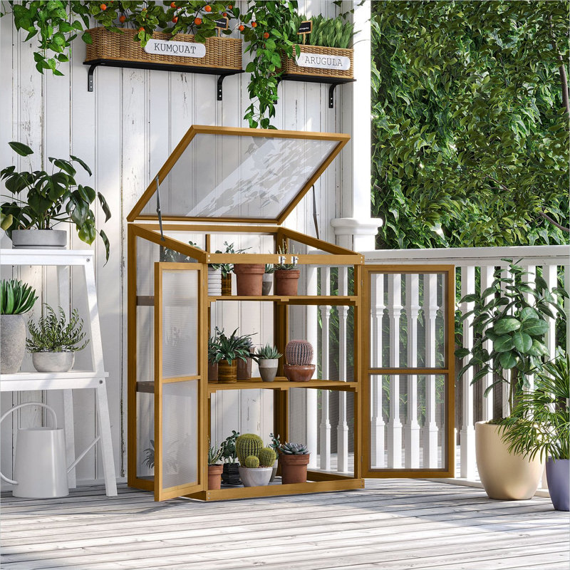 Serre en feuilles de sapin brun et de polycarbonate avec tablettes et détails en bois massif, 11,8 po x 9,2 po x 17,2 po