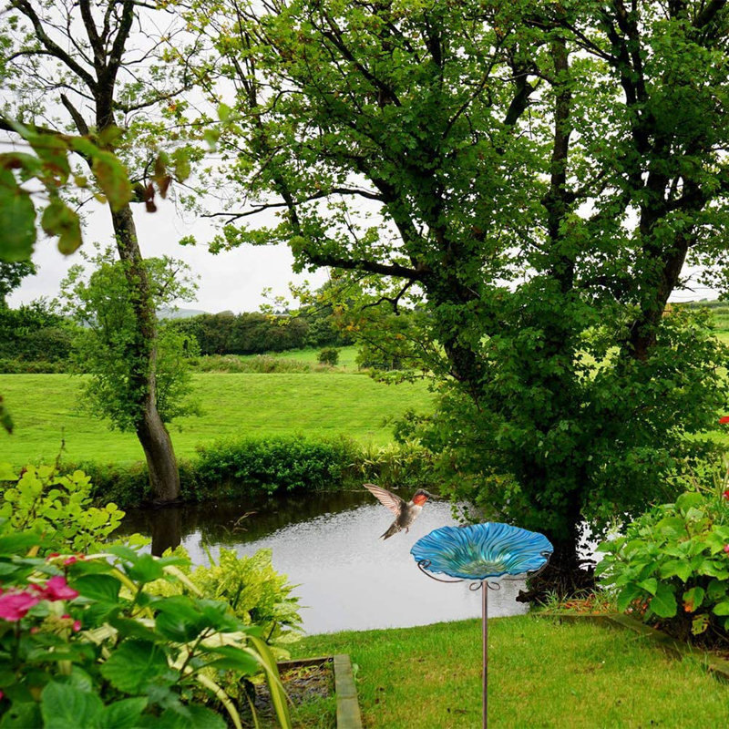 Bain d'oiseaux Windrowe