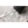 Aditya Solid Colour Area Rug