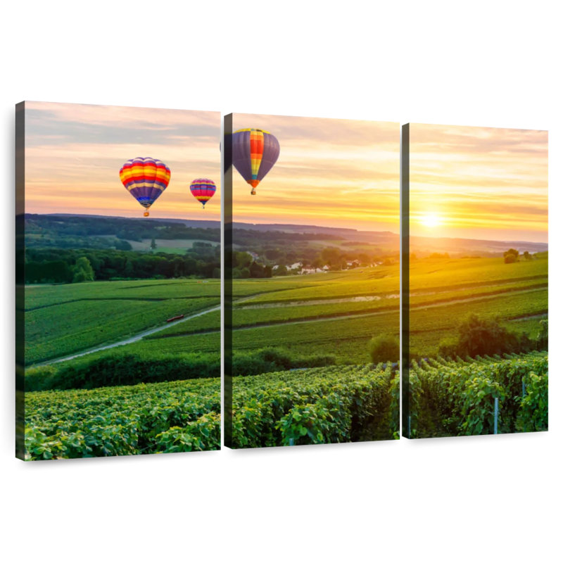 Ballons Alvord au-dessus du vignoble, H 48 po x l 74 po