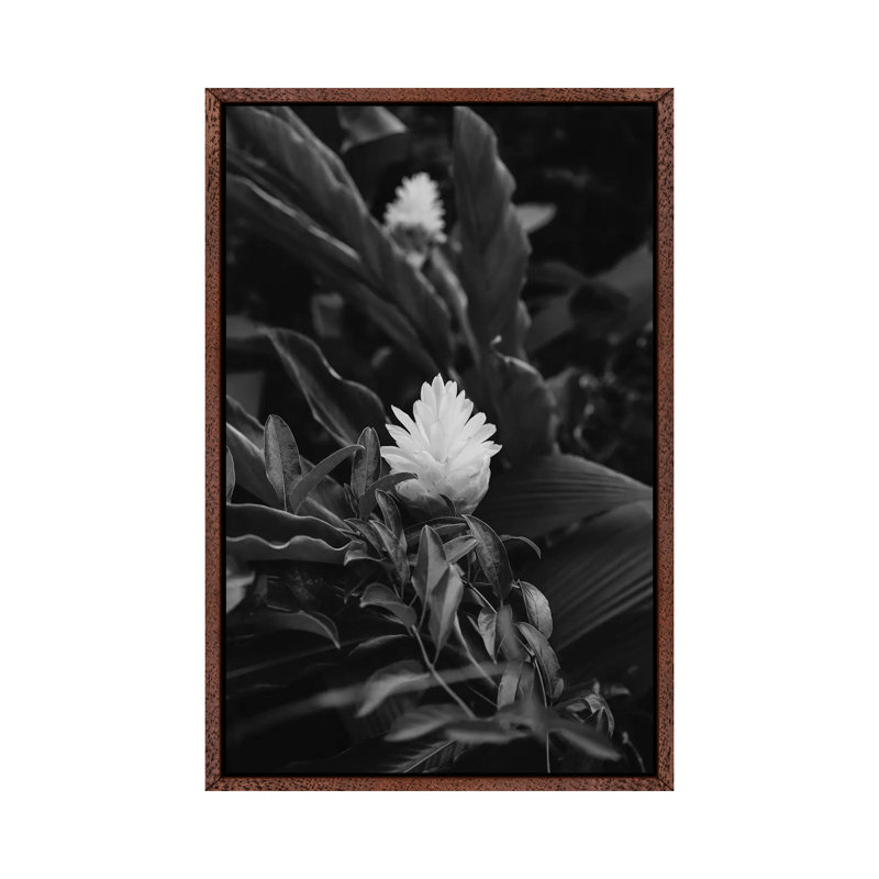 Monochrome Tropical Hawaii 1 Piece Wall Art on Canvas, 66.04cm H x 45.72cm W x 3.81cm D, Classic Brown Wood Framed