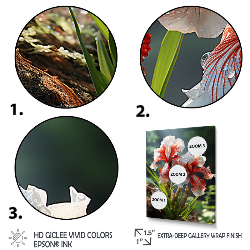 Iris Flower Meadows Grace In Forest - Iris, art mural, Cadre flottant doré, H 32 po x l 24 po x P 1 po