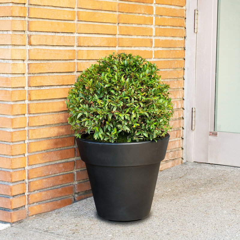 Plastic Pot Planter, Black, 16.6" H x 19" W x 19" D