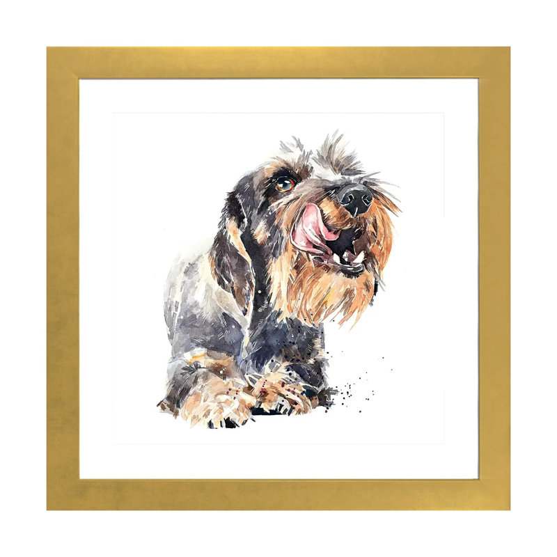 «Wirehaired Dachshund I» par EdsWatercolours - impression, Blanc, H 24 po x l 24 po x p 1 po, Papier encadré doré
