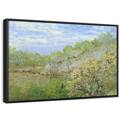 Apple Trees In Bloom