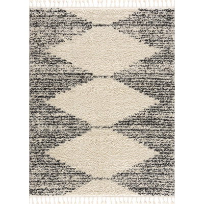 Shaggy Performance Tasseled Beige/Black/Charcoal Area Rug
