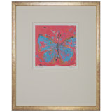 Papillon III Print by J.Allen