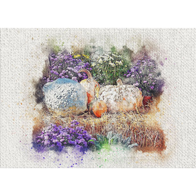 Tapis ivoire Pumpkins