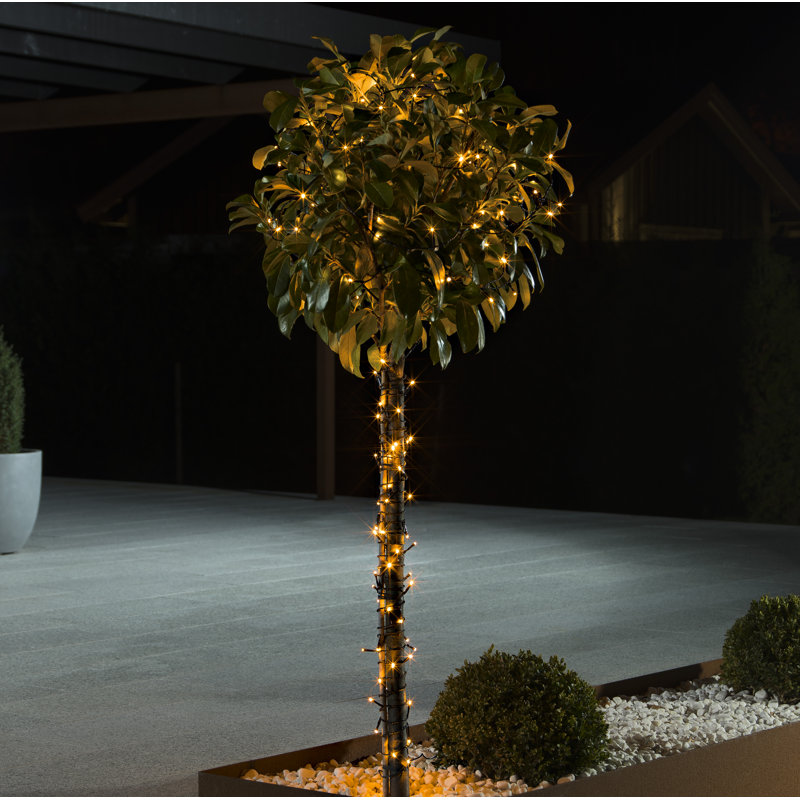1772cm LED 160 - Bulb Wide Angle LED String Light