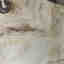 Customer photo 4 of 4