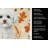 Bichon Frise Heirloom Fall Kitchen Towel-1218231476