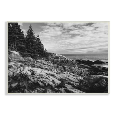 Océan rocheux, côte nuageuse, monochrome, nature
