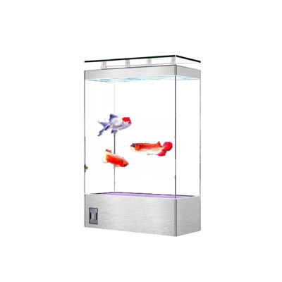 Grand aquarium moderne et minimaliste écologique