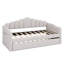 Upholstered Daybed With Trundle ,Velvet Sofabed With USB Charging Ports,No Box-Spring Needed-245404190