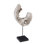 Eroded Wood C Sculpture on Stand, Assorted
