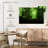 Misty Green Forest-2145733247