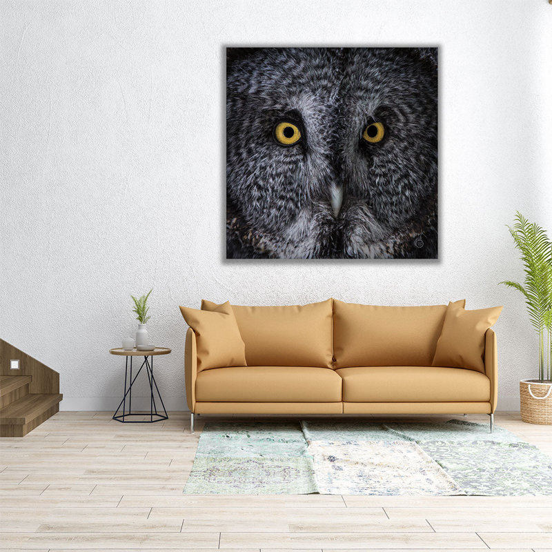 Grand hibou gris - reproduction d'art sur toile, H 20 po x l 20 po