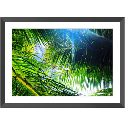 Light Breeze Print by Joseph Regan