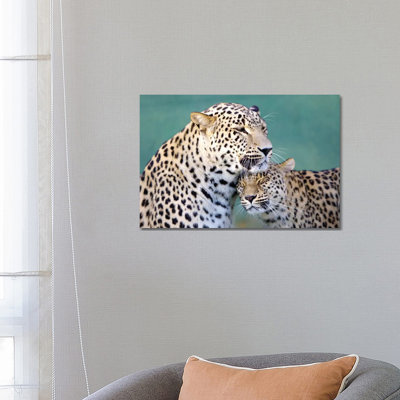 Leopards Love by Goran Anastasovski - Wrapped Canvas Print