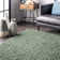 Abbiney Performance Shag Green Rug