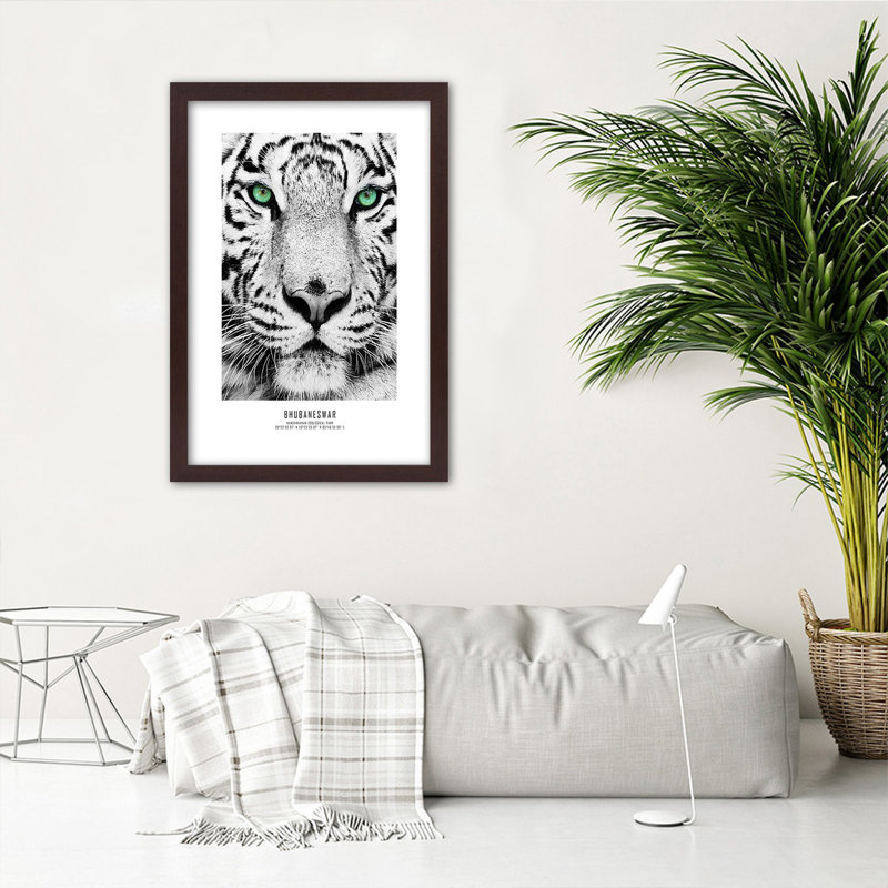 African Tigers - Single Picture Frame Print, 100cm H x 70cm W, Brown