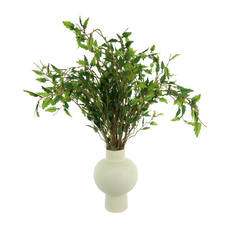 Maitland biologique moderne Smilax Arrangement