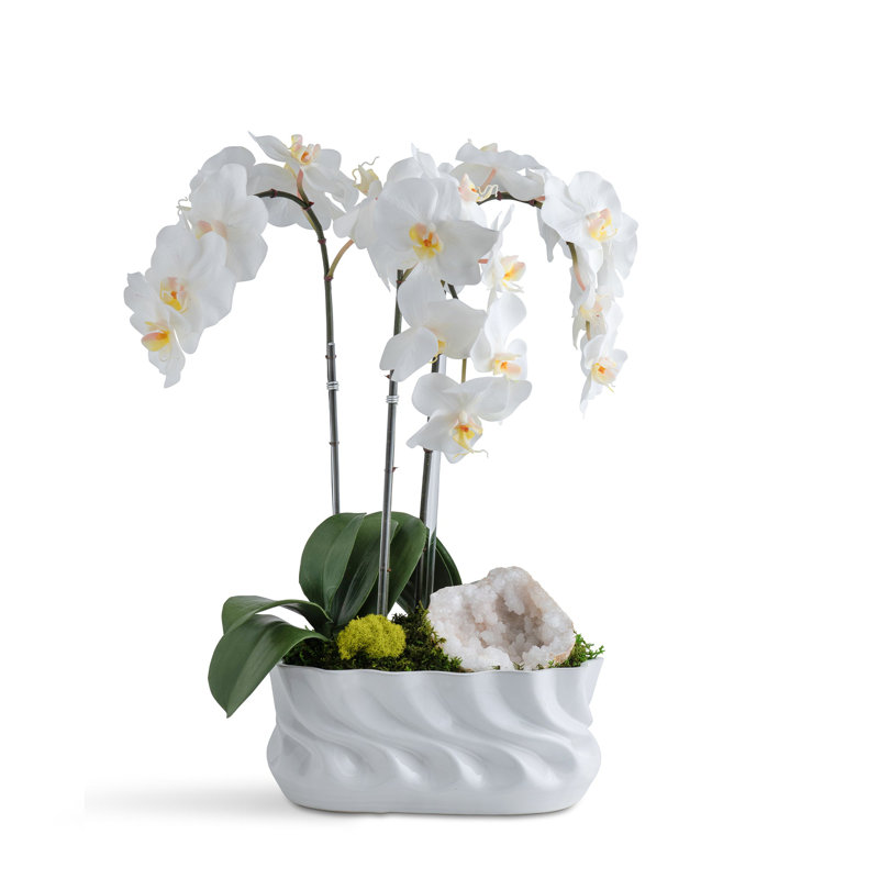 Triple Orchid ripple vase with a Moraccan Geode, White