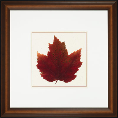 Nature Leaves I Print