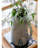Handmade Terracotta Table Vase