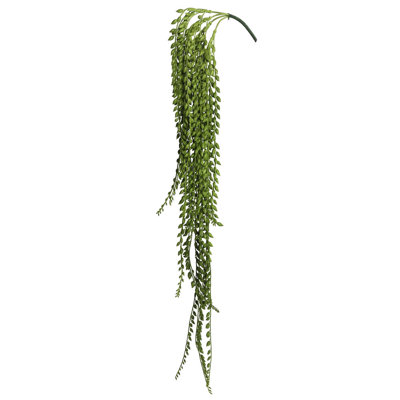 39" Senecio Succulent