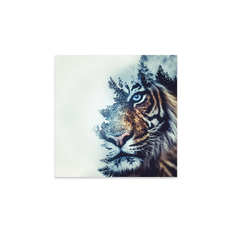 «Tiger II» par - Impression sans cadre, H 24 po x l 24 po x P 0,25 po