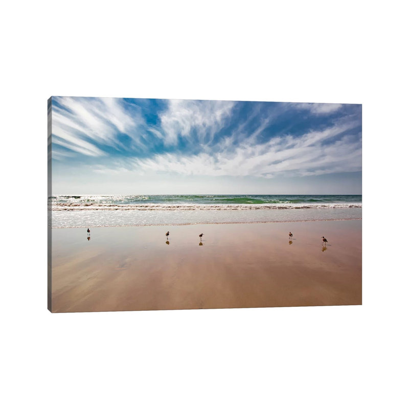 Birds On Beach, Del Mar by Barbara Markoff - Wrapped Canvas Print, 45.72cm H x 66.04cm W x 1.91cm D