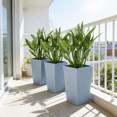 Ensemble de 3 boîtes à plantes, grande boîte à fleurs, pots à plantes