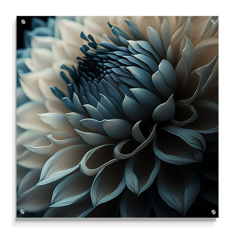 Bleu et blanc fleurs de dahlia II - art mural en acrylique Dahlia pour le salon, H 16 po x l 16 po