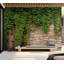 Murale botanique pelez et collez - lierre-1783010075