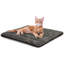 Lit rectangulaire pour chat-306577960