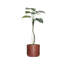 Plante artificielle en pot 64 po Philodendron