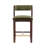 Patricia Modern Velvet Upholstered Counter Stool with Beech Wood Frame in Turtle Green-111807615-111807626