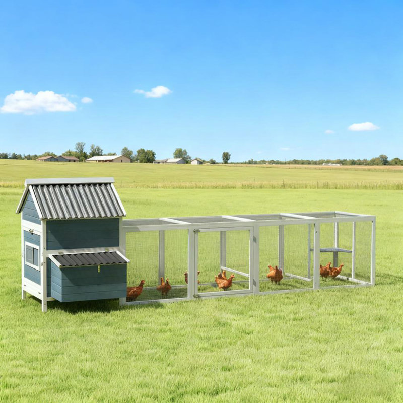 Poulailler pour 10 à 15 poulets