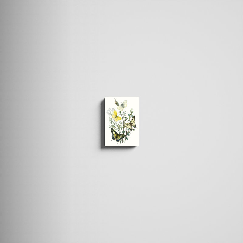 «British Butterflies II», peinture sur toile, H 12 po x l 8 po
