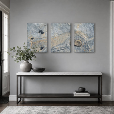 Spiral Ammonite Fossil in Textured Grey Rock Set Of 3 Canvas Wall Art