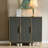 Black Aluminum Shoe Storage