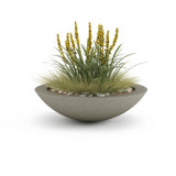 Oceanside Shallow Concrete Planter
