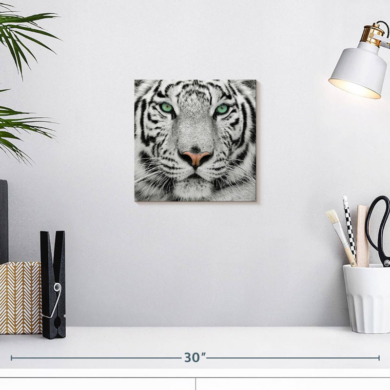 Brampt Green-Eyed White Tiger, 10" H x 10" W